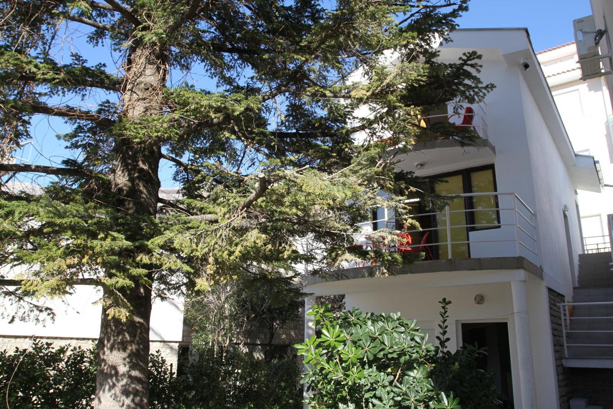 Apartments Popovic Petrovazzo Esterno foto